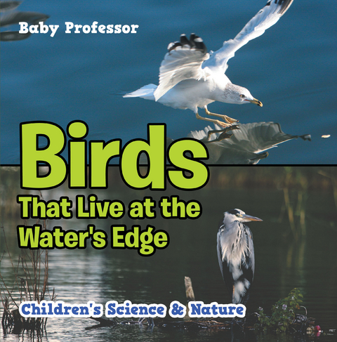 Birds That Live at the Water's Edge | Children's Science & Nature - Baby Professor