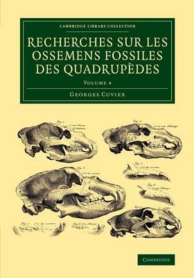 Recherches sur les ossemens fossiles des quadrup&egrave;des - Georges Cuvier