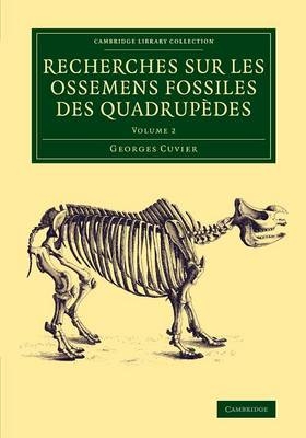 Recherches sur les ossemens fossiles des quadrupèdes