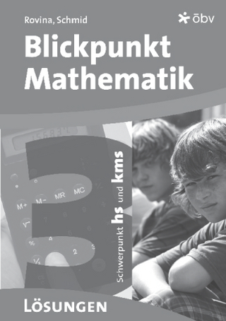 Blickpunkt Mathematik 3, Lösungen