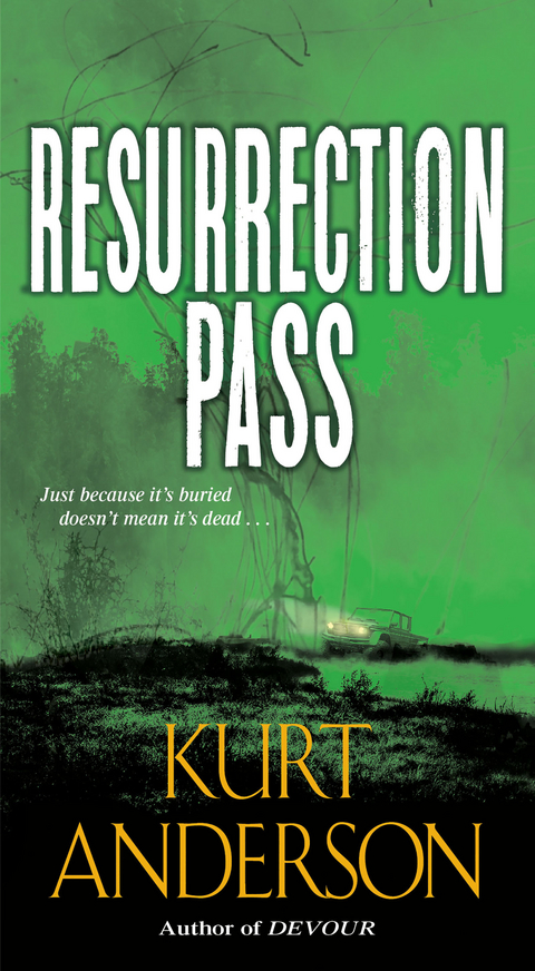Resurrection Pass - Kurt Anderson