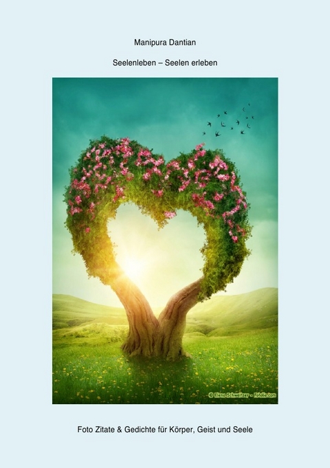 Seelenleben - Seelen erleben - Manipura Dantian
