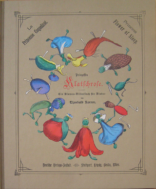 Prinzessin Klatschrose