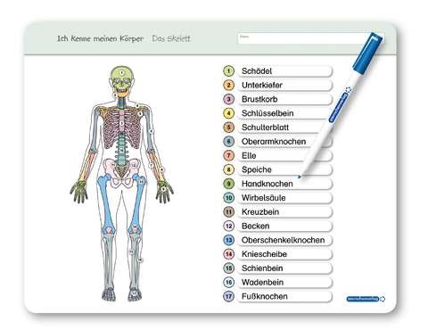 Ich kenne meinen K&ouml;rper - Das Skelett - Katrin Langhans