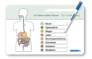 Ich kenne meinen Körper - Der Verdauungsweg