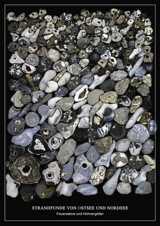 Feuersteine - Poster