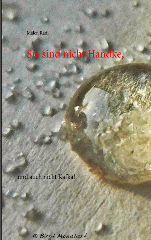 Sie sind nicht Handke, - Malen Radi