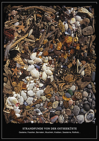 Strandfunde von der Ostseeküste - Poster