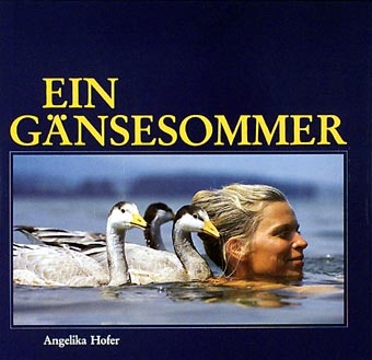 Ein G&auml;nsesommer - Angelika Hofer