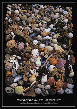 Strandfunde von der Nordseeküste - Poster