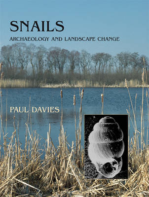 Snails -  Davies Paul Davies
