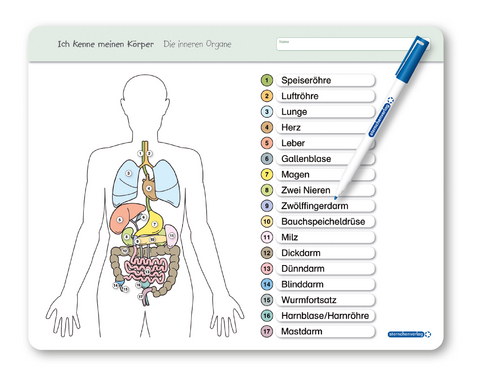 Ich kenne meinen K&ouml;rper - Die inneren Organe - Katrin Langhans