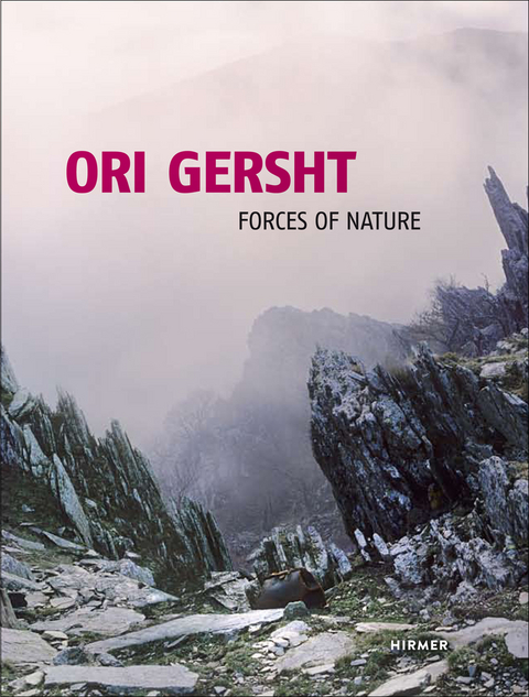 Ori Gersht - 
