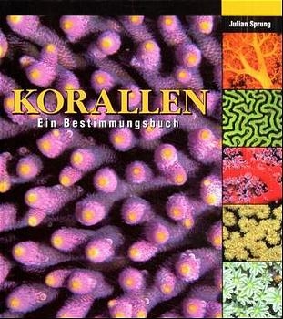 Korallen - Julian Sprung