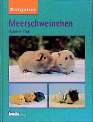 Ratgeber Meerschweinchen - Gabriele Prust