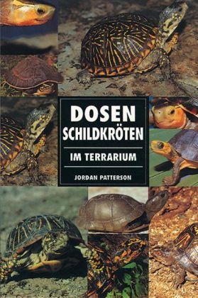 Dosenschildkröten