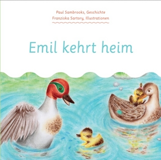 Emil kehrt Heim