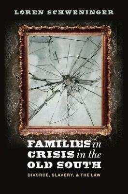 Families in Crisis in the Old South - Loren Schweninger