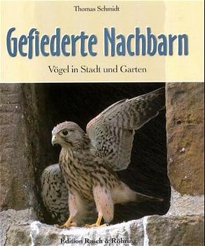 Gefiederte Nachbarn