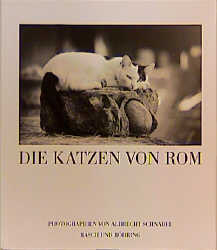 Die Katzen von Rom - Albrecht Schnabel