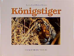 Königstiger