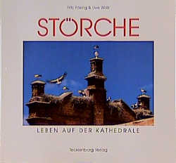 Störche