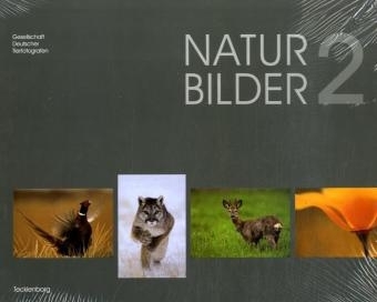 Natur Bilder 2 - Florian M&ouml;llers, Markus Botzek