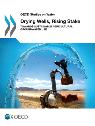 Drying Wells, Rising Stakes - Towards Sustainable Agricultural Groundwater Use