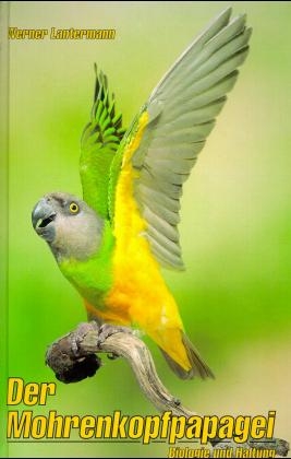 Der Mohrenkopfpapagei - Werner Lantermann