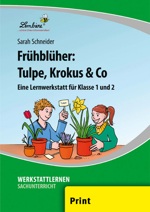 Fr&uuml;hbl&uuml;her: Tulpe, Krokus & Co - Sarah Schneider