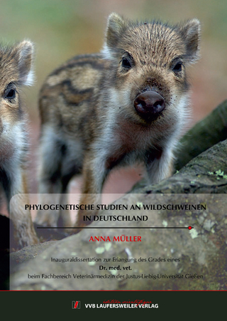 Phylogenetische Studien an Wildschweinen in Deutschland