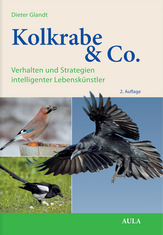 Kolkrabe & Co.