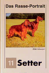 Setter Portrait - Hilde Schwoyer