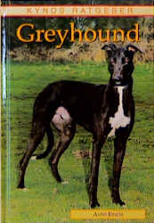 Greyhound