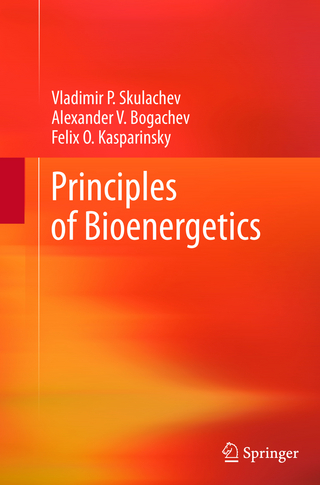 Principles of Bioenergetics