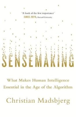 Sensemaking -  Christian Madsbjerg