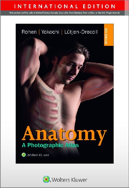 Anatomy - Johannes W. Rohen, Chihiro M.D. Yokochi, Elke L&uuml;tjen-Drecoll