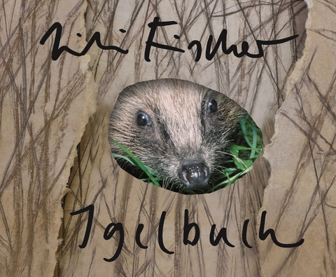 Lili Fischer: Igelbuch - Fischer Lili