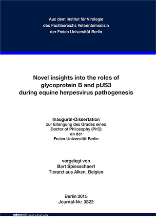 Novel insights into the roles of glycoprotein B and pUS3 during equine herpesvirus pathogenesis