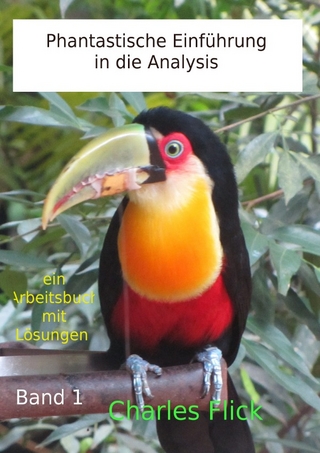 Phantastische Einführung in die Analysis
