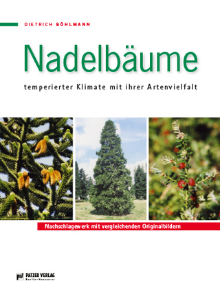 Nadelbäume