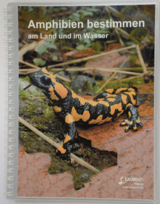 Amphibien bestimmen - Burkhard Thiesmeier