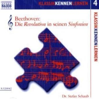 Die Revolution in seinen Sinfonien - Stefan Schaub