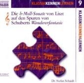 Die h-Moll-Sonate von Liszt auf den Spuren von Schuberts Wandererfantasie, 1 Audio-CD - Stefan Schaub