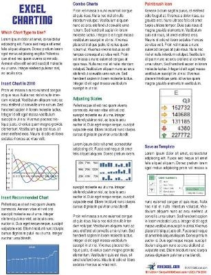 Excel Charting Laminated Tip Card