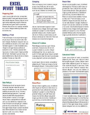 Excel Pivot Tables Laminated Tip Card - Bill Jelen