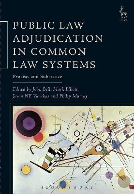 Public Law Adjudication in Common Law Systems - 