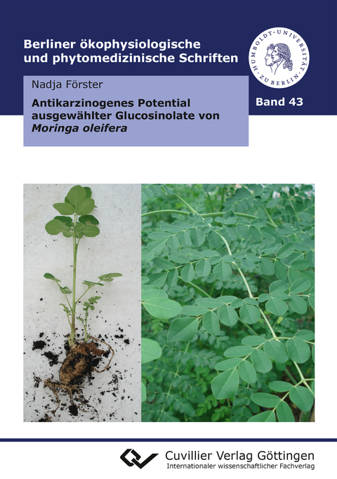 Antikarzinogenes Potential ausgew&auml;hlter Glucosinolate von Moringa oleifera - Nadja F&ouml;rster