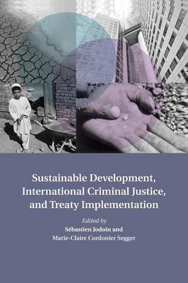 Sustainable Development, International Criminal Justice, and Treaty Implementation - 