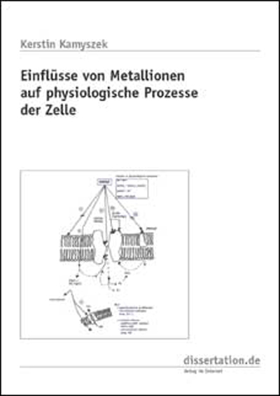 Einfl&uuml;sse von Metallionen auf physiologische Prozesse der Zelle - Kerstin Kamyszek